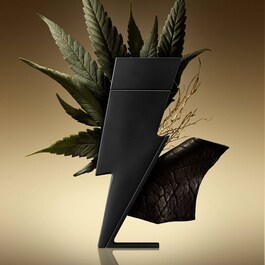 Bad Boy Le Parfum - Woda perfumowana