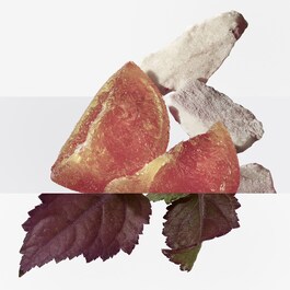 Elixir des Merveilles - Woda perfumowana