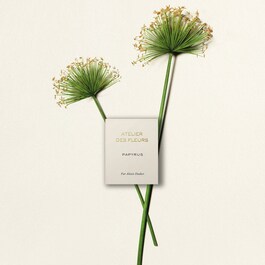 Chloé Atelier des Fleurs Papyrus - Woda perfumowana