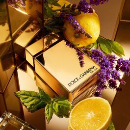 TOPH GOLD EDPI 100ML