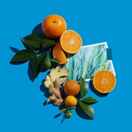 Mandarine Glaciale - Woda Perfumowana