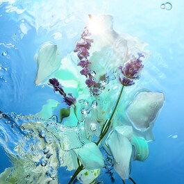 Calm Bliss - Woda perfumowana