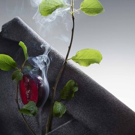 The Collection Bold Incense - Woda perfumowana