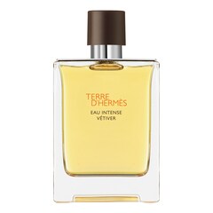 Terre d'Hermès Eau Intense Vétiver - Woda perfumowana, HERMÈS
