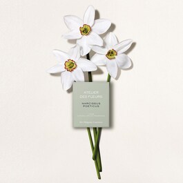 Chloé Atelier des Fleurs Narcissus Poeticus - Woda perfumowana