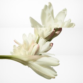 Twilly d'Hermès - Woda perfumowana