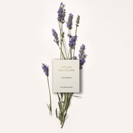 Chloé Atelier des Fleurs Lavanda - Woda perfumowana
