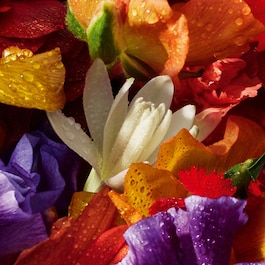 Aqua Allegoria Florabloom Forte - Woda Perfumowana