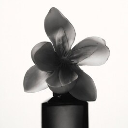 Fenty - Woda perfumowana