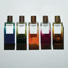 LOEWE Solo Elixir - Eau de Parfum