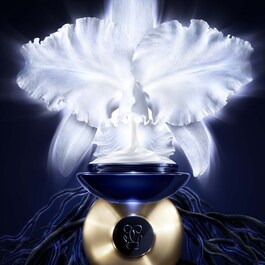Orchidée Impériale – Krem do twarzy