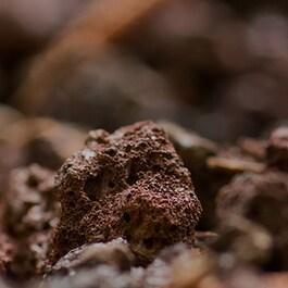 Roches Volcaniques™ - Maseczka piankowa z glinką zwężająca pory