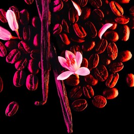 Black Opium - Woda Perfumowana Roll-On (format podróżny)