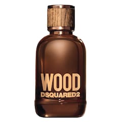 Wood pour Homme - Woda toaletowa, DSQUARED 2