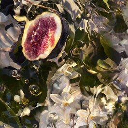 Aqua Allegoria Nerolia Vetiver Forte - Zestaw prezentowy woda perfumowana