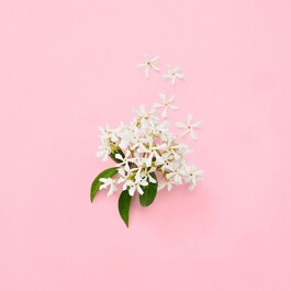 Gucci Flora Gorgeous Gardenia - Woda perfumowana 