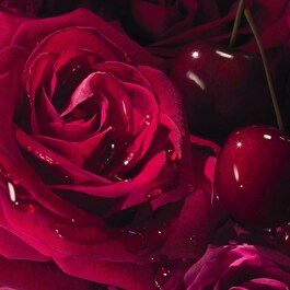 La Nuit Trésor Intense – Woda perfumowana