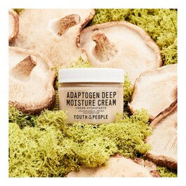 Adaptogen deep moisture cream - Głęboko nawilżający krem