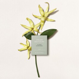 Chloé Atelier des Fleurs Ylang Cananga - Woda perfumowana