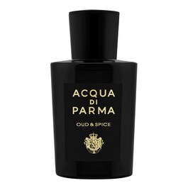 Signatures of the Sun Oud & Spice - Eau de Parfum Spicy Woody