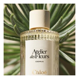 Chloé Atelier des Fleur Cedrus – Woda Perfumowana