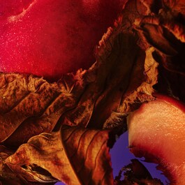 Allegra Fantasia Veneta - Woda perfumowana