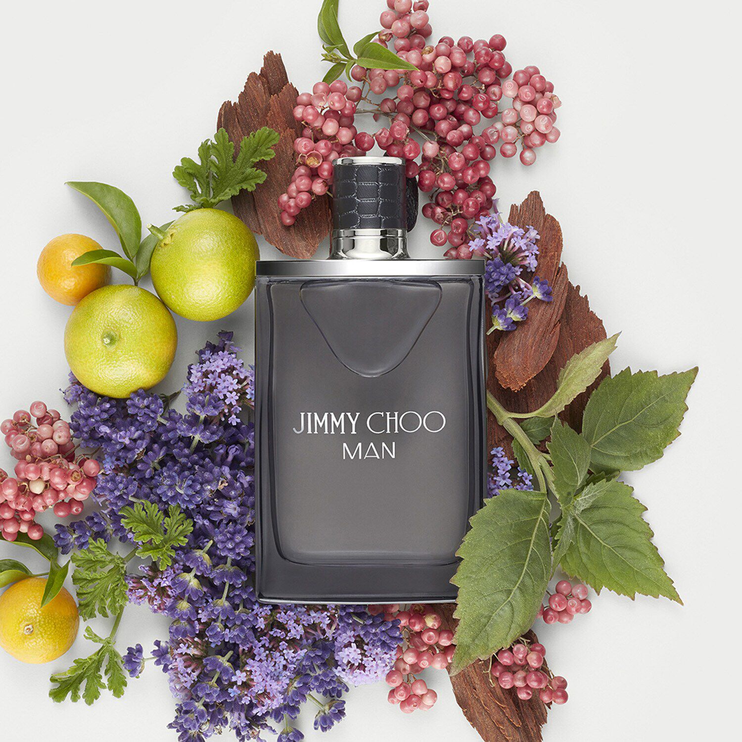Jimmy choo man ice sephora discount