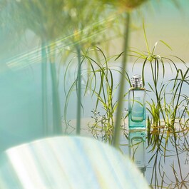 Un Jardin sur le Nil - Woda Toaletowa