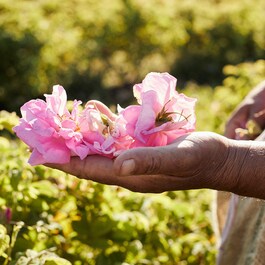 Aqua Allegoria Harvest Rosa Rossa - Woda Toaletowa