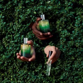 Ex Vetiver - Woda perfumowana