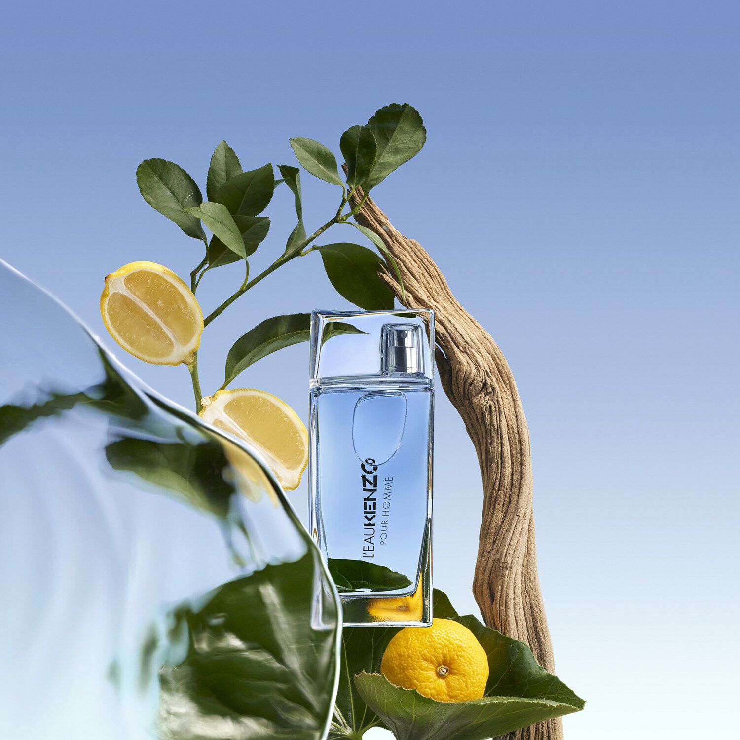 Kenzo pour homme woda perfumowana hotsell