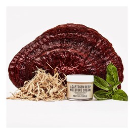 Adaptogen deep moisture cream - Głęboko nawilżający krem