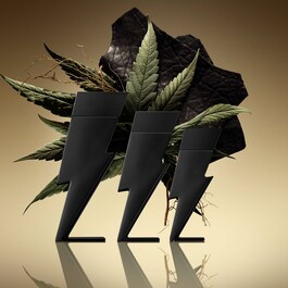Bad Boy Le Parfum - Woda perfumowana