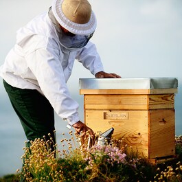 Abeille Royale - Krem na dzień