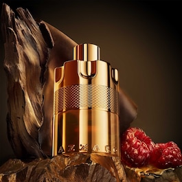  Wanted Forever - Elixir
