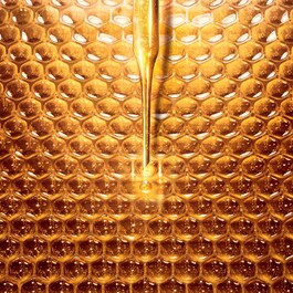 Abeille Royale - Bogaty krem na dzień