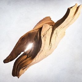 Magnifying SANDALWOOD - Woda perfumowana