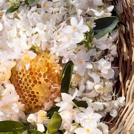 Aqua Allegoria Harvest Nerolia Vetiver - Woda Toaletowa