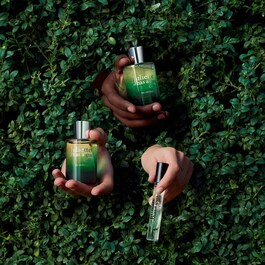 Ex Vetiver, woda perfumowana 