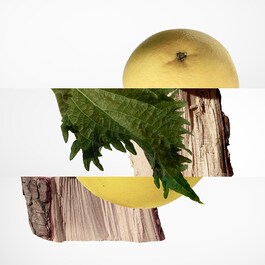 Terre d'Hermès - Perfumy
