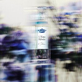 L'Eau Rêvée d'Ikar