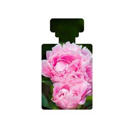 Ananda Antioxidant-Rich Gentle Toner - Tonik do twarzy 