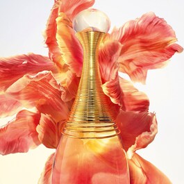 J’adore Eau de Parfum Infinissime - Woda perfumowana - Nuty kwiatowo-drzewne