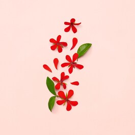 Gucci Bloom - Woda Perfumowana