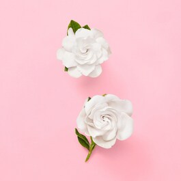 Gucci Flora Gorgeous Gardenia - Woda perfumowana 