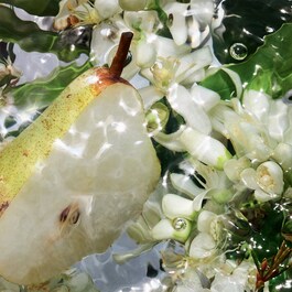 Aqua Allegoria Pera Granita - Eau de Toilette