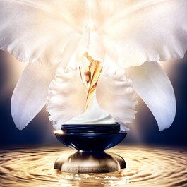 Orchidée Impériale The Rich Cream Refill - Bogaty krem do twarzy (refill)