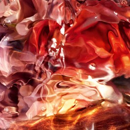 Aqua Allegoria Forte Rosa Palissandro - Woda perfumowana