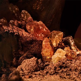 Man Terrae Essence - Woda perfumowana
