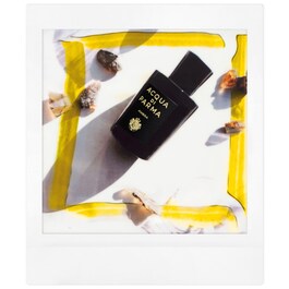 Signatures of the Sun Ambra - Eau de Parfum Woody Aromatic